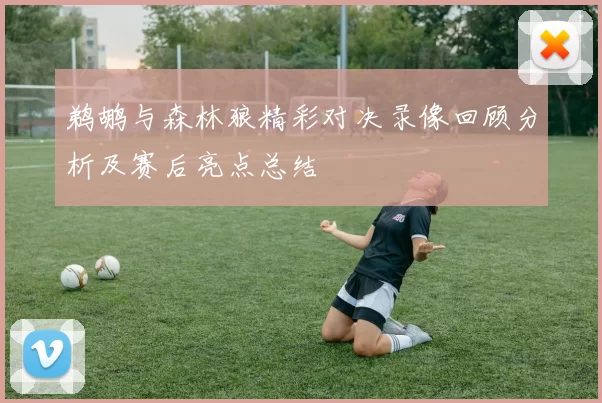 鹈鹕与森林狼精彩对决录像回顾分析及赛后亮点总结